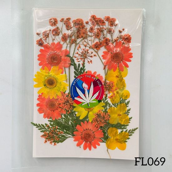 Picture of 30 IN 1 Pressed Flower FL069