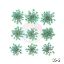 Picture of Pressed Queen Annes Lace Flowers - Mint Green