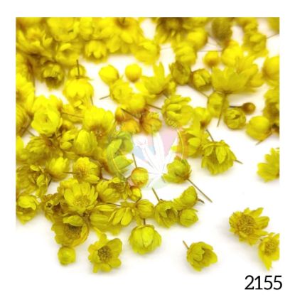 Picture of 3D Dry Flowers in Round Box- Yellow