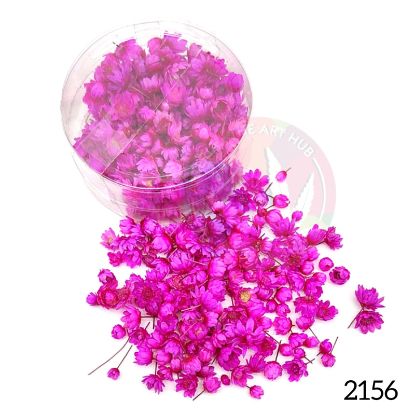 Picture of 3D Dry Flowers in Round Box- Dark Pink