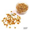 Picture of 3D Dry Flowers in Round Box- Orange