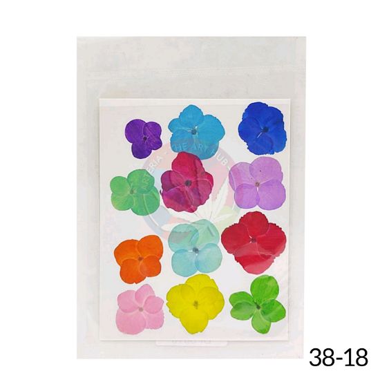 Picture of Pressed Hydrangea Dry Flower Sheet -Multi colour