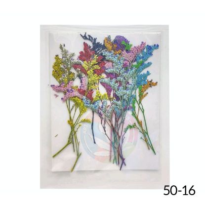 Picture of Pressed Dry Flower Sheet  -Multi colour- B