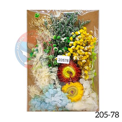 Picture of 3D Dry Flower Packet D