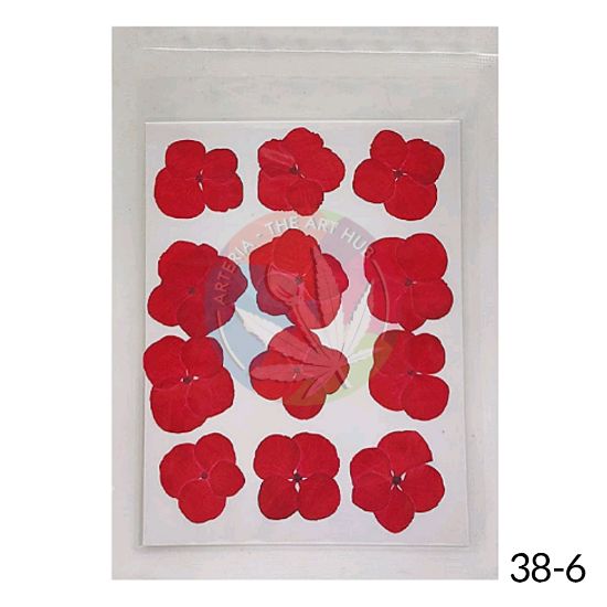 Picture of Pressed Hydrangea Dry Flower Sheet -Red