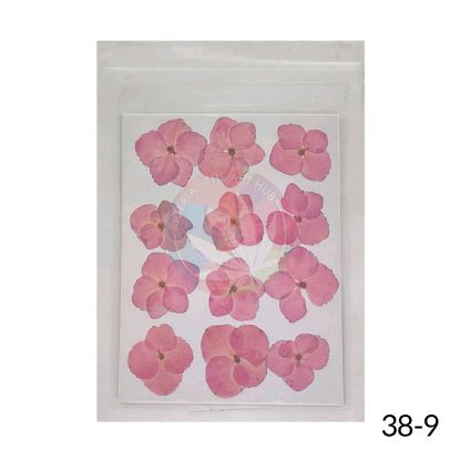 Picture of Pressed Hydrangea Dry Flower Sheet -Light Pink