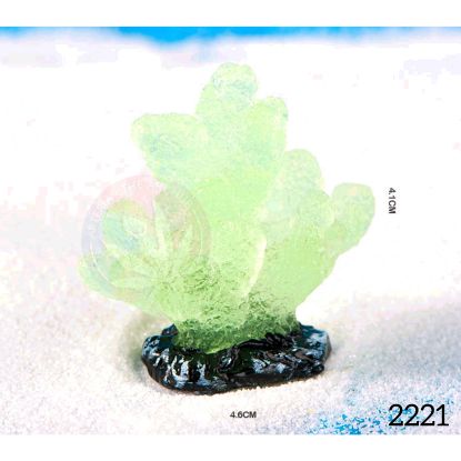 Picture of Aquatic Plant Miniature C