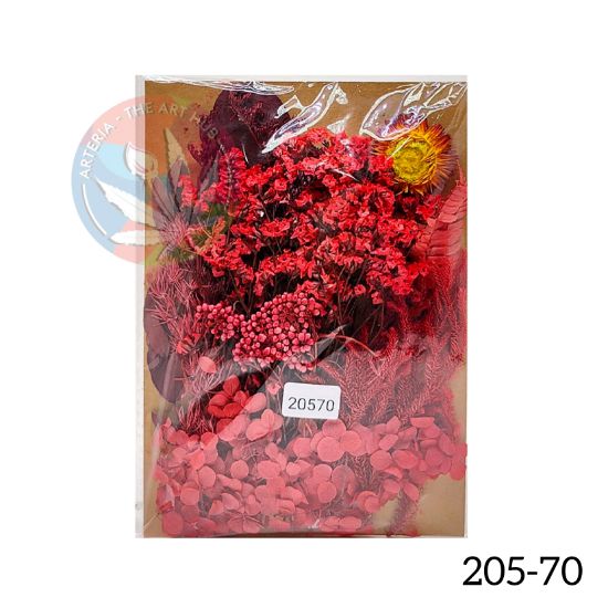 Picture of 3D Dry Flower Packet B