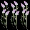 Picture of Celosia Palmeri Dry Pressed Flowers- 12 Pcs