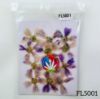 Picture of Epilobium Tetragonum Dry Pressed Flowers- 12 Pcs