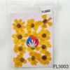 Picture of Yellow Wild Dry Pressed Flower- 12 Pcs