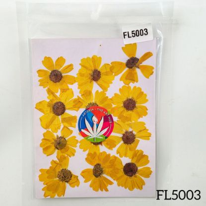 Picture of Yellow Wild Dry Pressed Flower- 12 Pcs