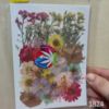 Picture of 40 in 1 Pressed Flower 1