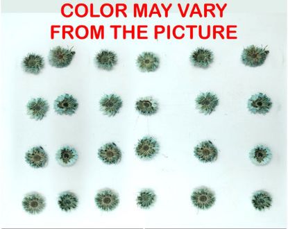 Picture of 24PCS Mini dried Sunflower- sea green