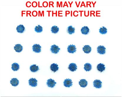 Picture of 24PCS Mini dried Sunflower- Light blue