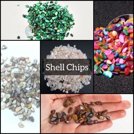 Picture for category Shell Chips