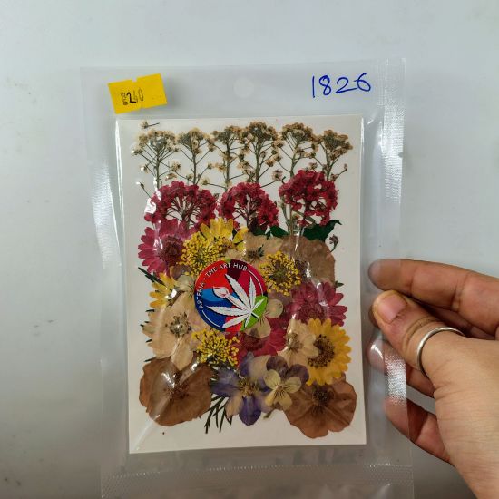 Picture of 33 In 1 Pressed Flower