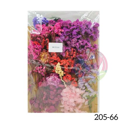 Picture of 3D Dry Flower Packet E