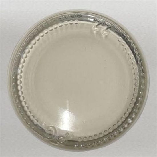 Picture of Champagne Opaque Pigment