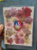 Picture of 32 IN 1 Pressed Flower 4