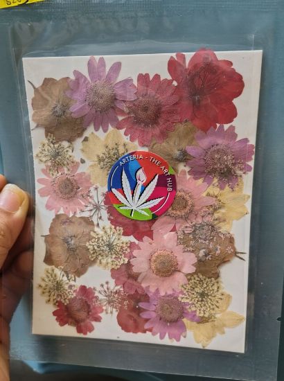 Picture of 32 IN 1 Pressed Flower 4