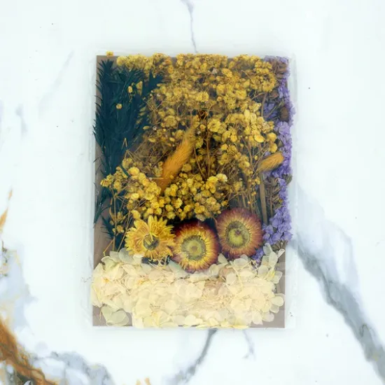 Picture of 3D Dry Flower Packet J